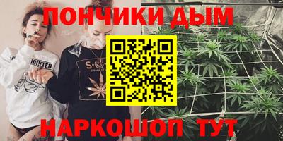 гашик Бердск
