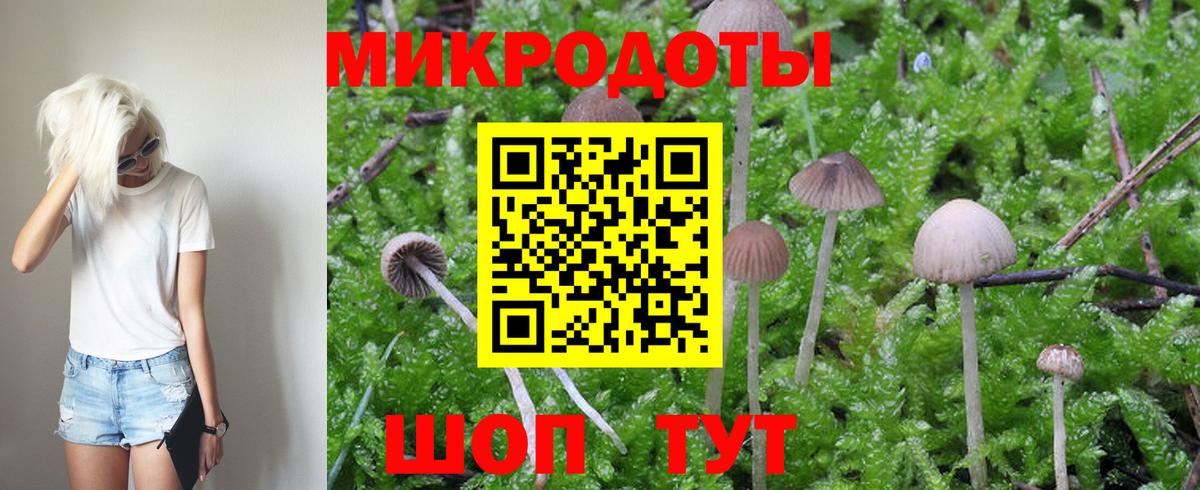Галлюциногенные грибы мухоморы Балашиха