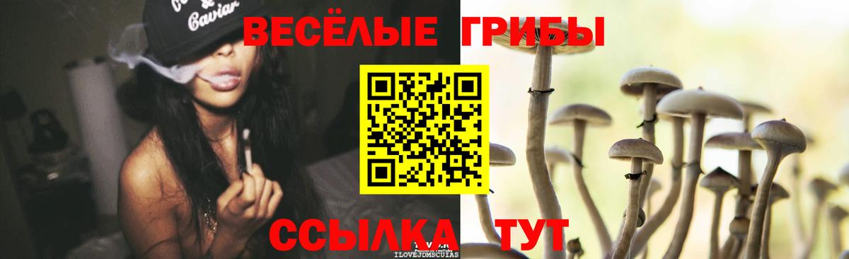 Балашиха  Псилоцибиновые грибы прущие грибы  наркошоп  Псилоцибиновые грибы мицелий  Вход с VPN 